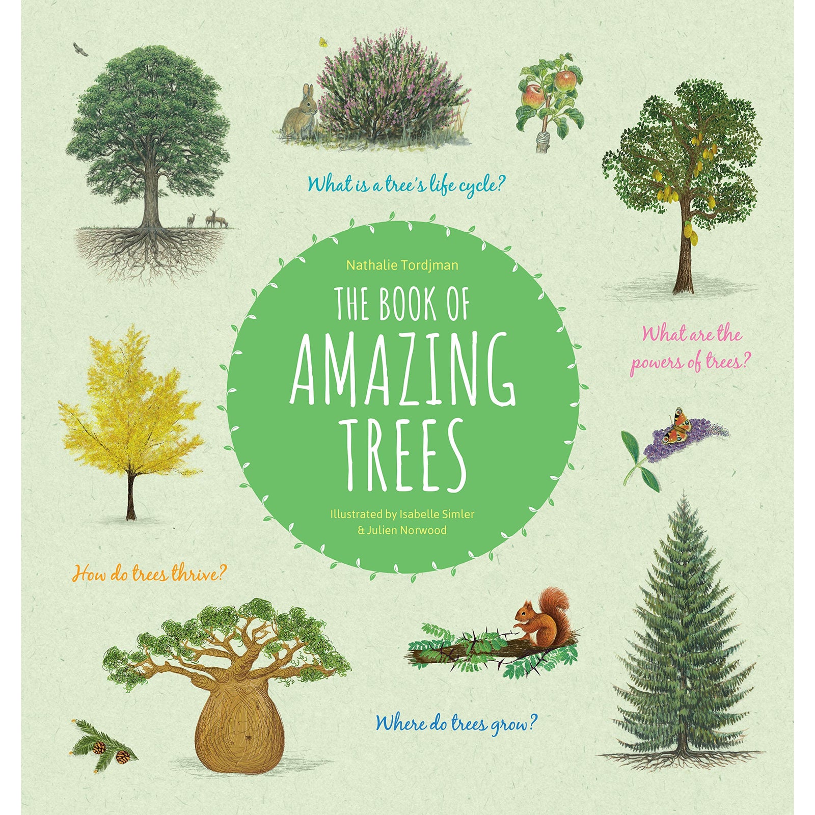 Book of Amazing Trees-Raincoast Books-Modern Rascals