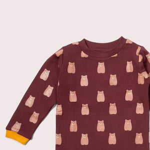 Brown Bears Long Sleeve T-Shirt-Little Green Radicals-Modern Rascals