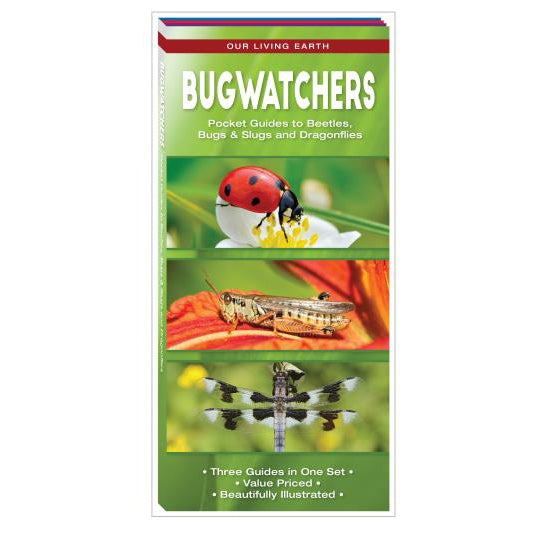 Bugwatchers-National Book Network-Modern Rascals