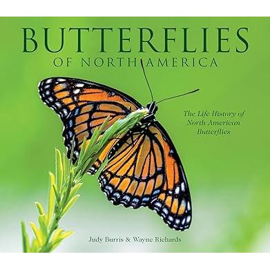 Butterflies of North America: The Life History of North American Butterflies-Thomas Allen & Son-Modern Rascals
