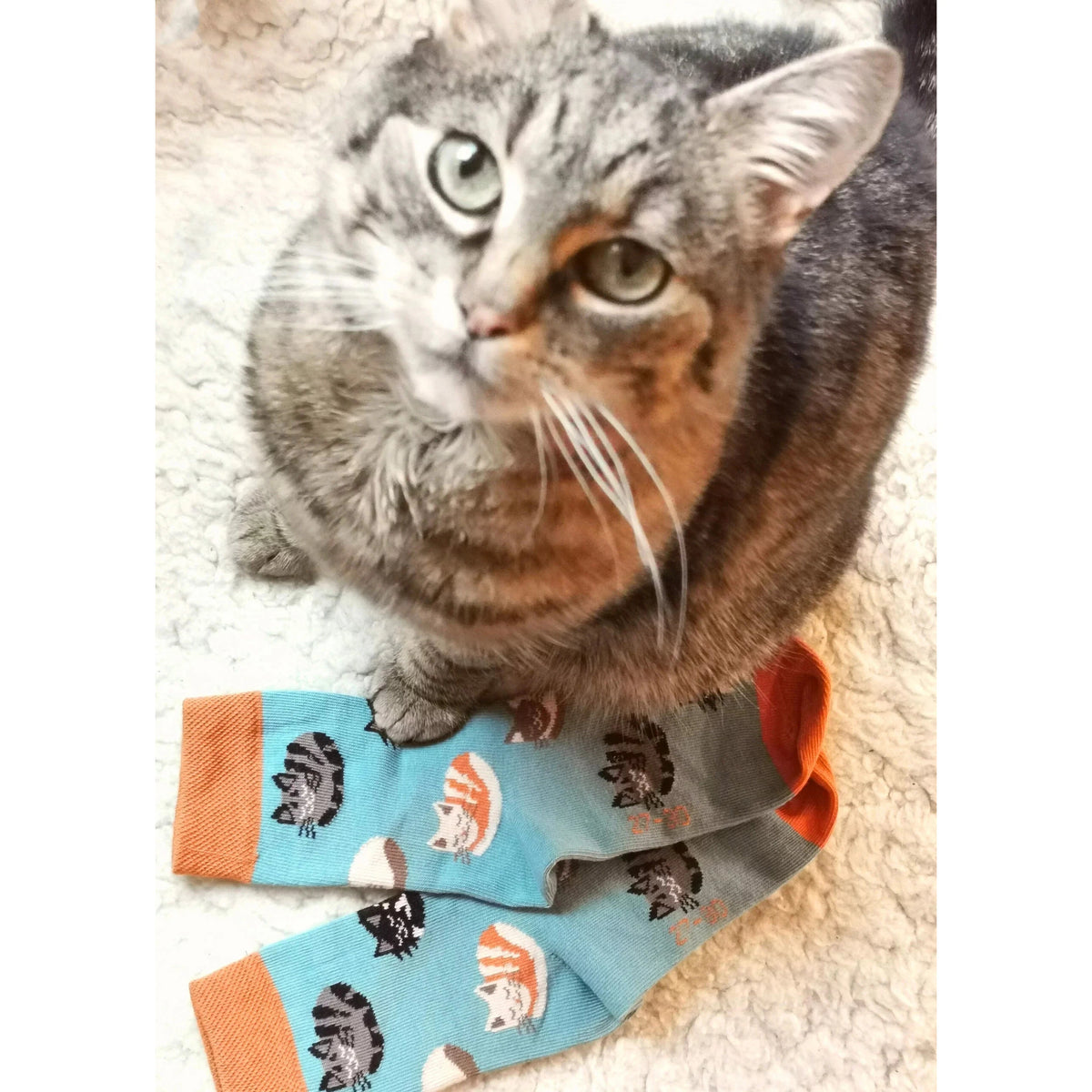 Cat Socks-Fraulein Prusselise-Modern Rascals