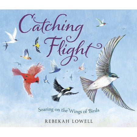 Catching Flight - Soaring on the Wings of Birds-Penguin Random House-Modern Rascals