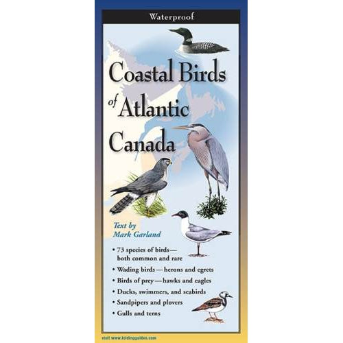 Coastal Birds of Atlantic Canada - Folding Guide-Nimbus Publishing-Modern Rascals