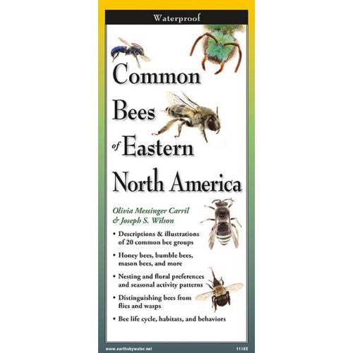 Common Bees of Eastern North America - Folding Guide-Nimbus Publishing ...
