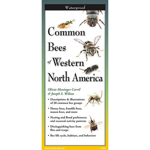 Common Bees of Western North America - Folding Guide-Nimbus Publishing-Modern Rascals