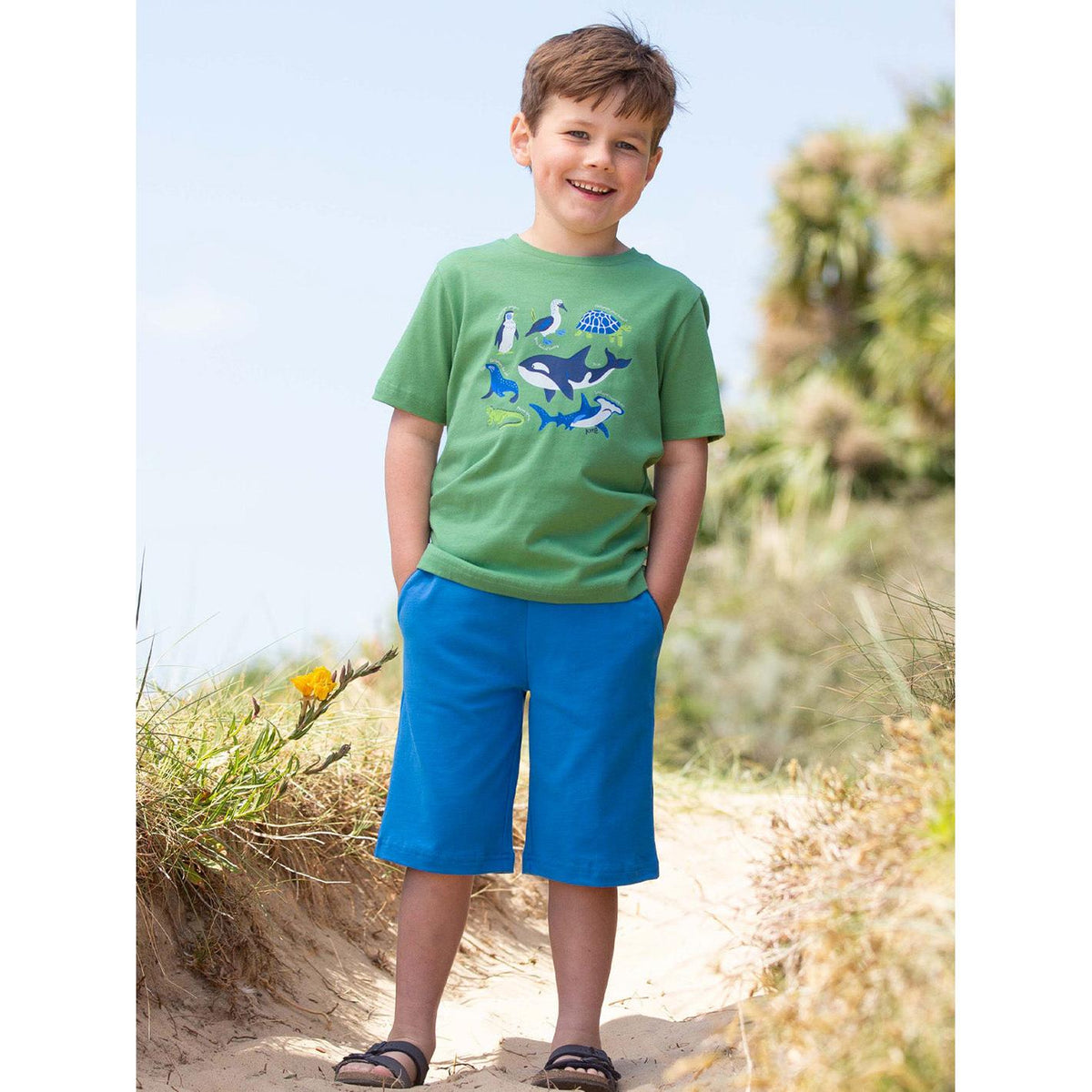 Corfe Shorts - Peacock-Kite-Modern Rascals