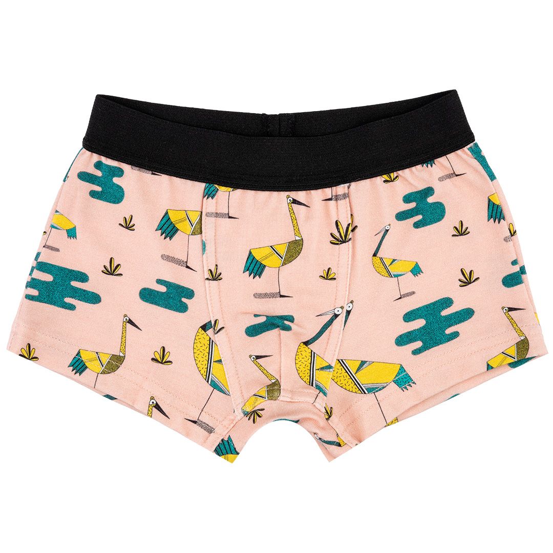 Crane Lake Boxers - 2 Left Size 2-3 years-Raspberry Republic-Modern Rascals