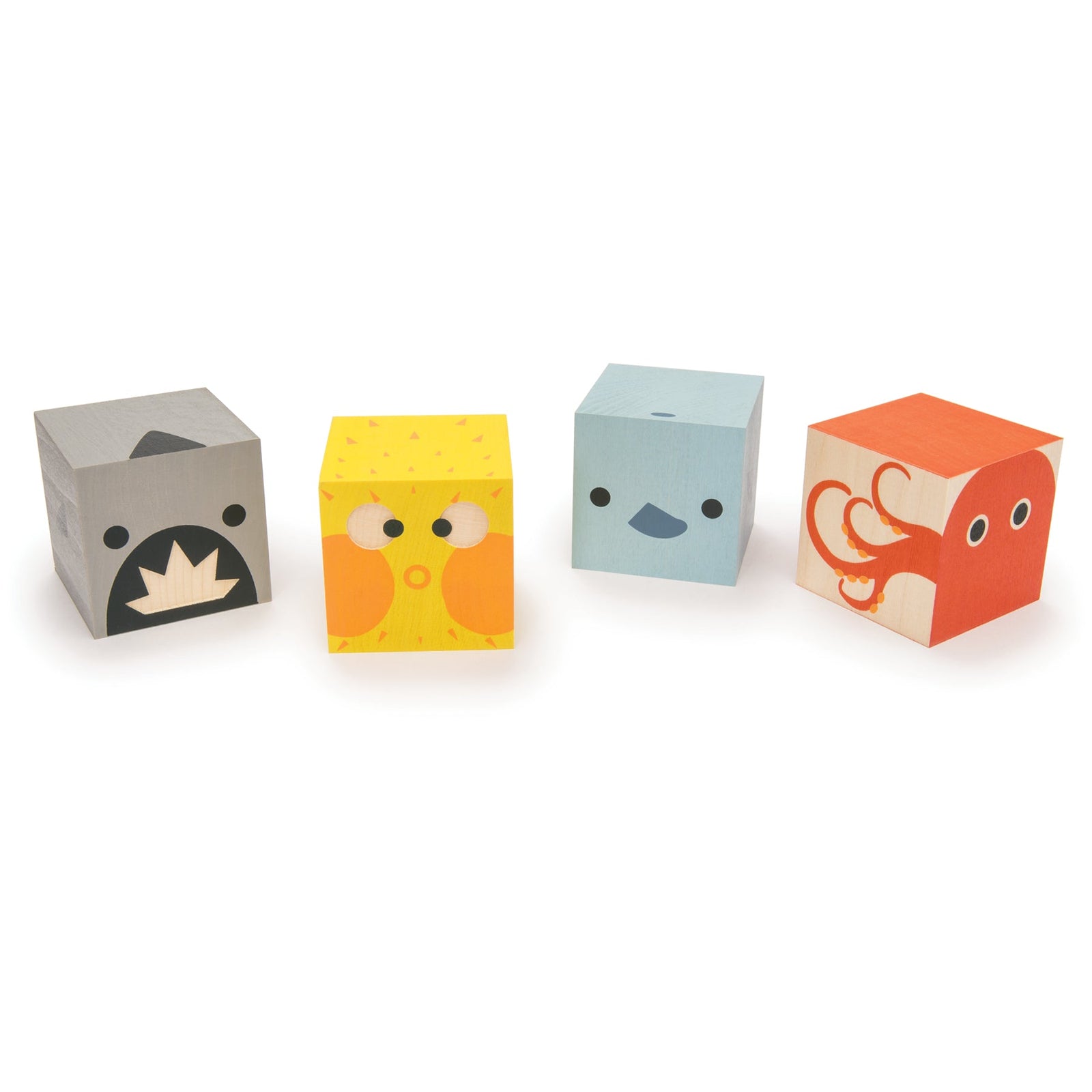 Rascal Blocks Celebration Guide - Preschoolers (3 - 5 years) Tagged