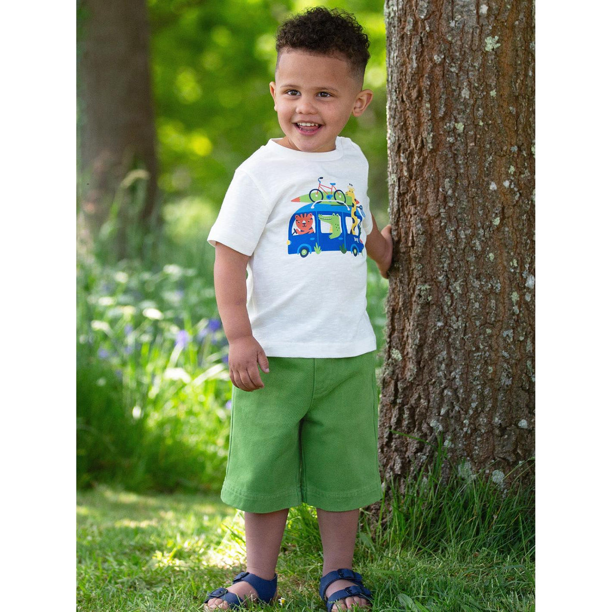 Deck Shorts - Ivy-Kite-Modern Rascals