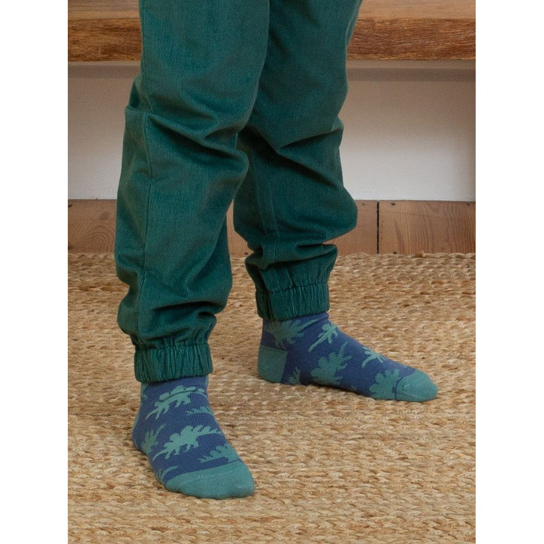 Dino Socks - 3 Pack - 2 Left Size 2-4 years-Kite-Modern Rascals