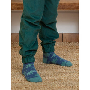 Dino Socks - 3 Pack - 2 Left Size 2-4 years-Kite-Modern Rascals