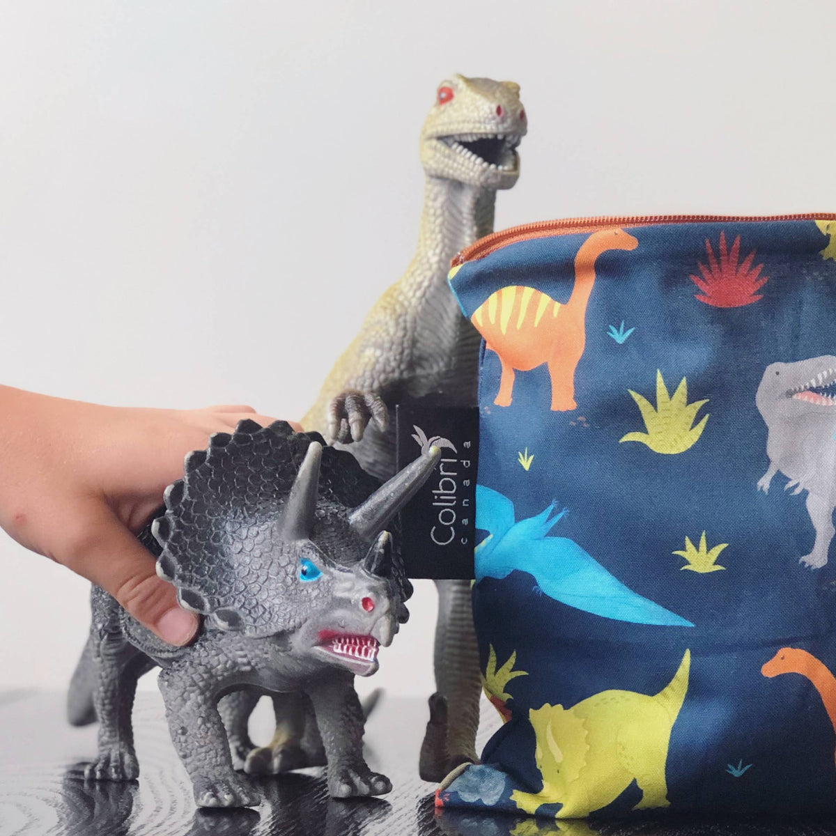 Dinosaur Reusable Snack Bag - Medium-Colibri-Modern Rascals