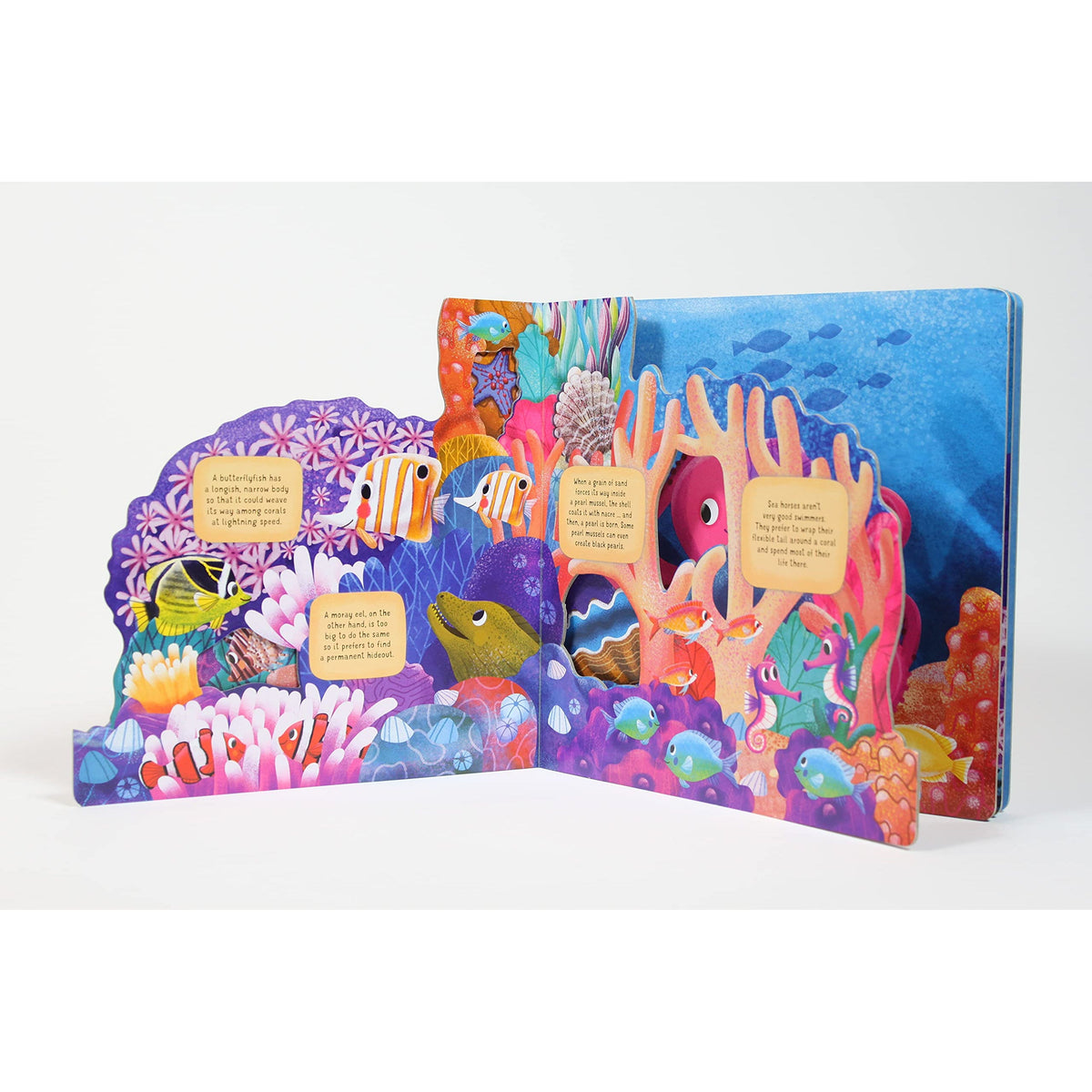 Discovering the Secret World of the Coral Reef-Firefly Books-Modern Rascals