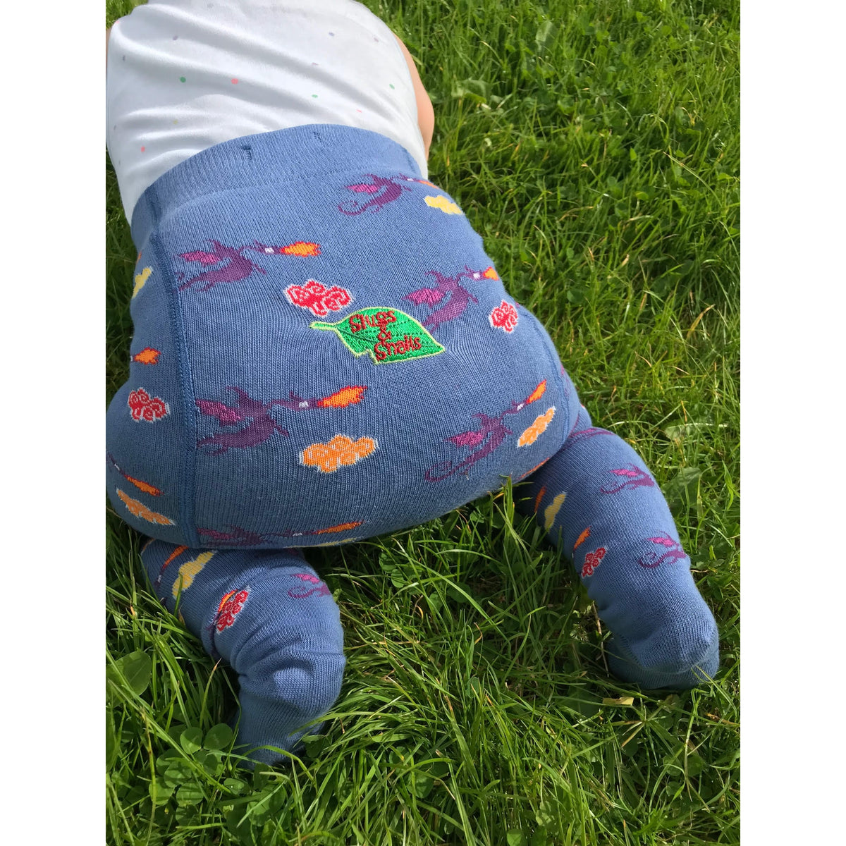 Dragon Tights-Slugs and Snails-Modern Rascals