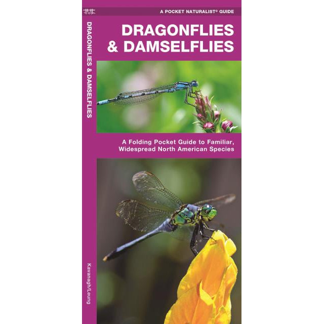 Dragonflies & Damselflies-National Book Network-Modern Rascals