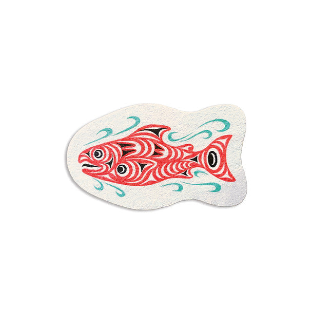 Eco Sponge - Coho Salmon by Joe Wilson-Sxwaset (Coast Salish)-Native Northwest-Modern Rascals