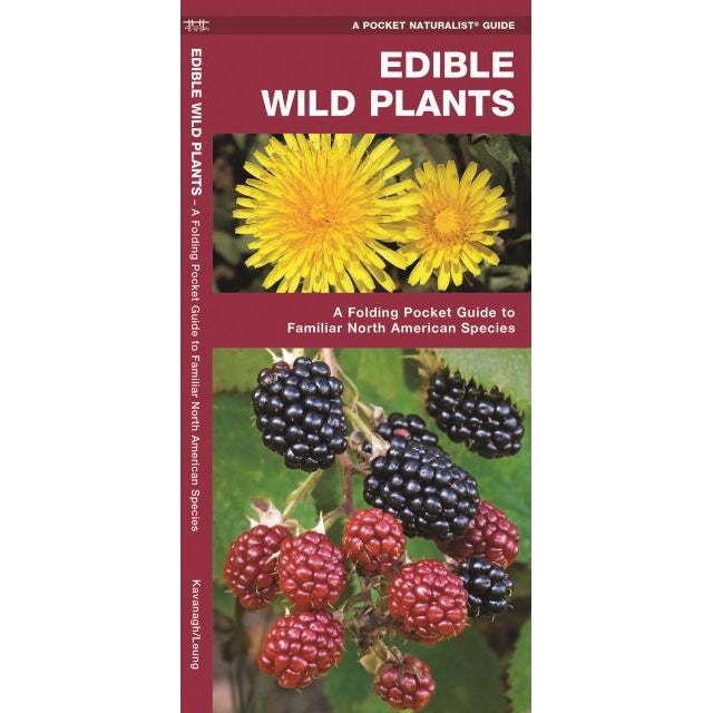 Edible Wild Plants: A Folding Pocket Guide to Familiar North American Species-National Book Network-Modern Rascals