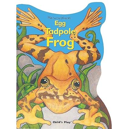 Egg, Tadpole, Frog Pop Up Book-Warehouse Find-Modern Rascals