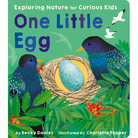 Exploring Nature for Curious Kids - One Little Egg-Penguin Random House-Modern Rascals