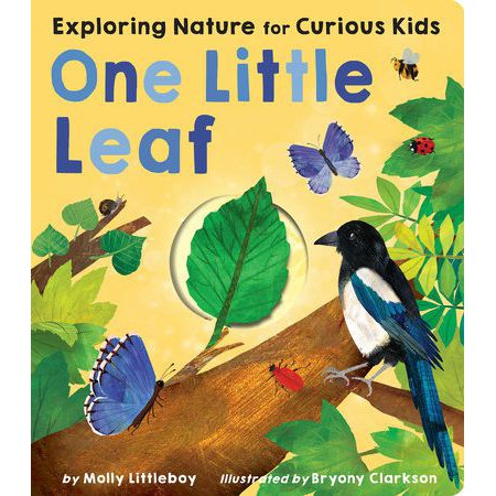 Exploring Nature for Curious Kids: One Little Leaf-Penguin Random House-Modern Rascals
