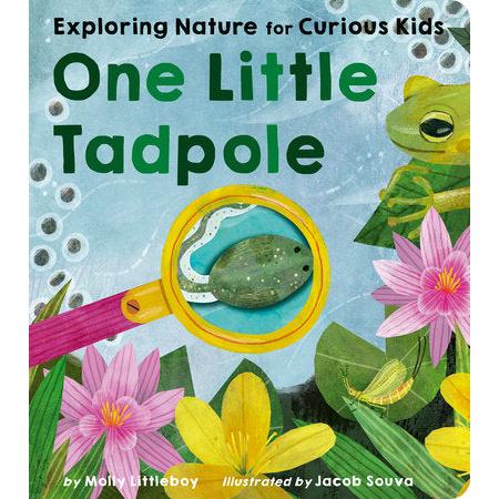 Exploring Nature for Curious Kids - One Little Tadpole-Penguin Random House-Modern Rascals