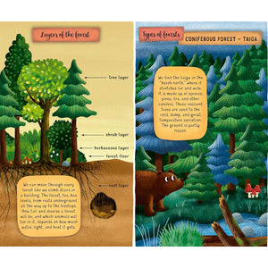 Exploring the Fascinating World of the Forest-Firefly Books-Modern Rascals