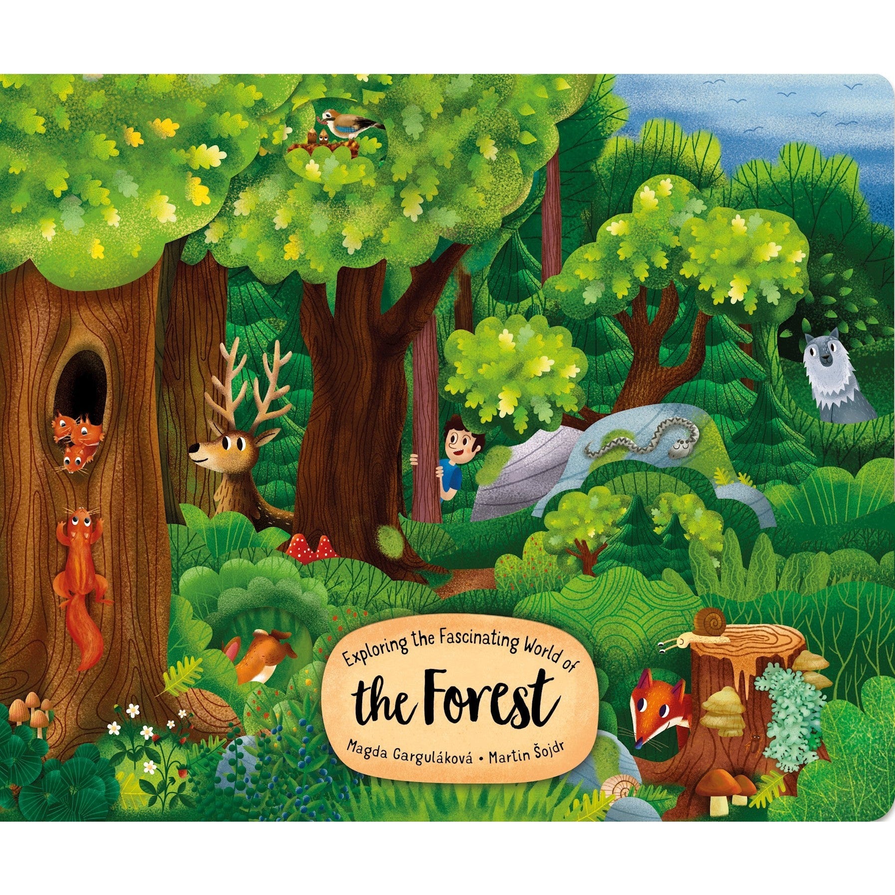 Exploring the Fascinating World of the Forest by Firefly Books - Modern ...