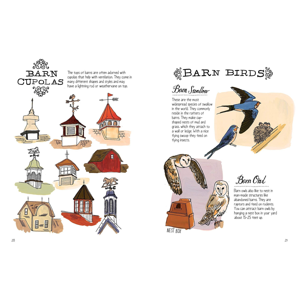 Farm Anatomy-Hatchette Group-Modern Rascals