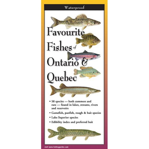 Favourite Fishes of Ontario & Quebec - Folding Guide-Nimbus Publishing-Modern Rascals