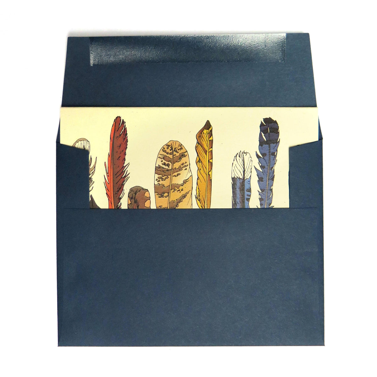 Feather Card-Wild Life Illustration Co.-Modern Rascals