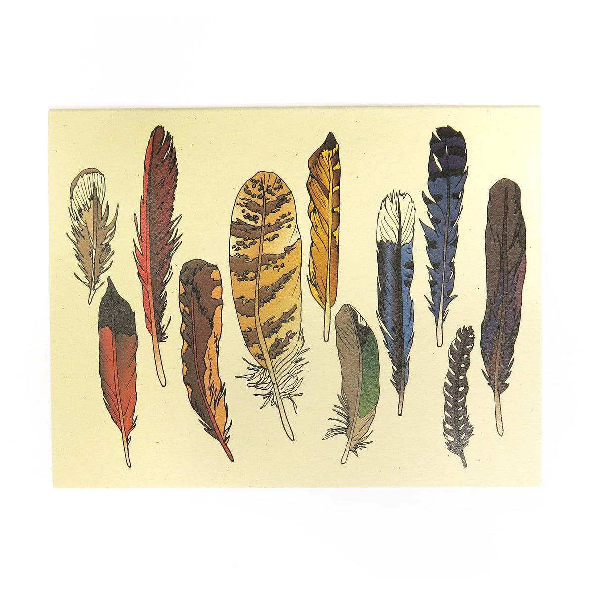 Feather Card-Wild Life Illustration Co.-Modern Rascals