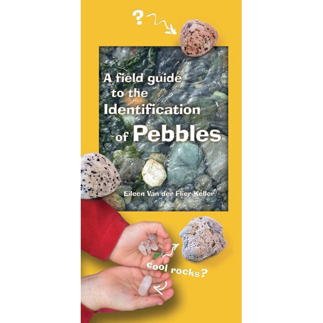 Field Guide to the Identification of Pebbles-Raincoast Books-Modern Rascals