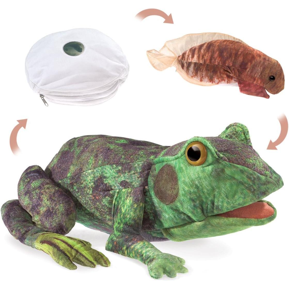 Folkmanis Frog Life Cycle Puppet-Warehouse Find-Modern Rascals