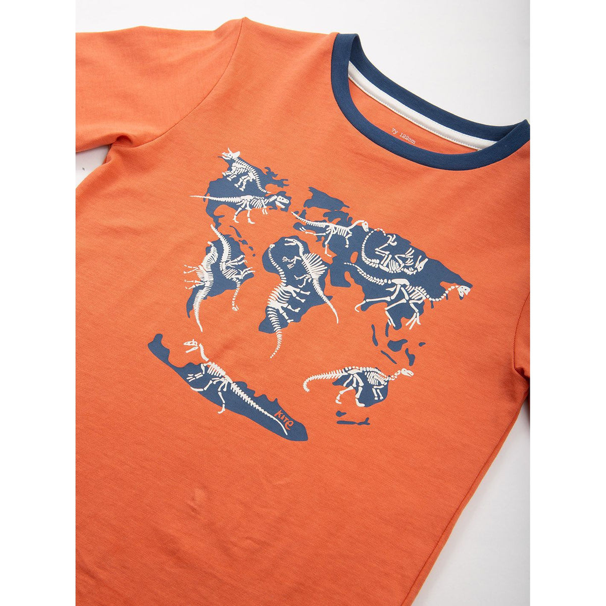 Fossil Finder Long Sleeve Shirt - 1 Left Size 2-3 years-Kite-Modern Rascals