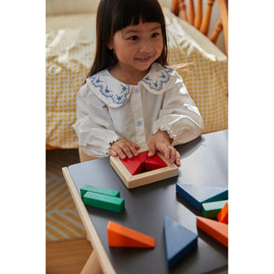 Fraction Blocks - Unit Plus-PlanToys-Modern Rascals