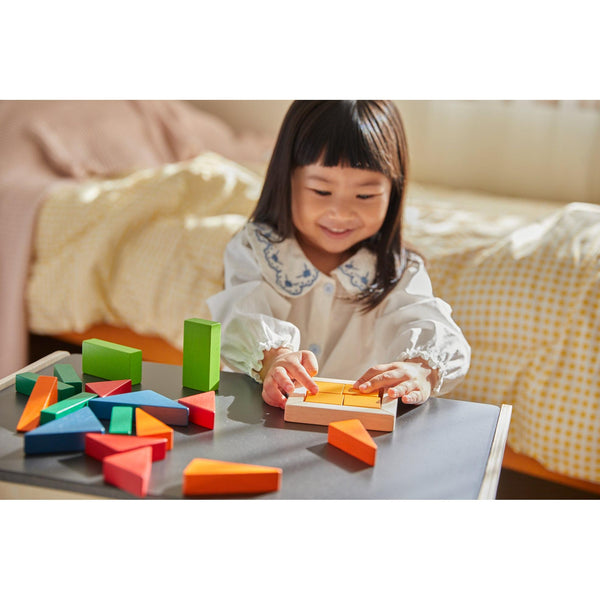 Fraction Blocks - Unit Plus by PlanToys - Modern Rascals