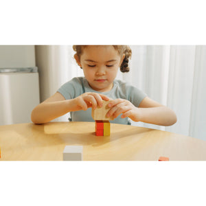 Fraction Cubes-PlanToys-Modern Rascals