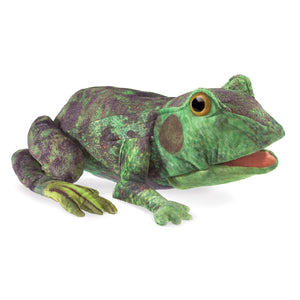 Frog Life Cycle-Folkmanis Puppets-Modern Rascals
