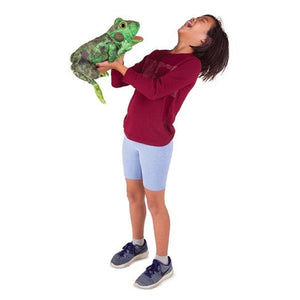 Frog Life Cycle-Folkmanis Puppets-Modern Rascals