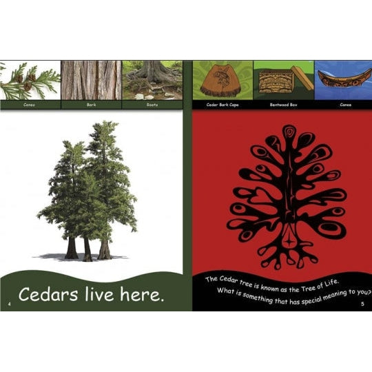 From the Mountains to the Sea: We Live Here-Strong Nations Publishing-Modern Rascals