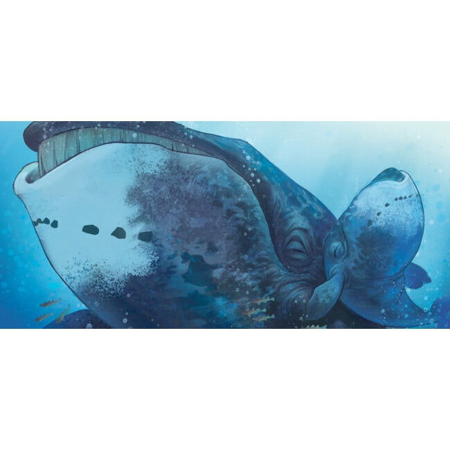 Grandfather Bowhead Tell Me a Story-Inhabit Media-Modern Rascals