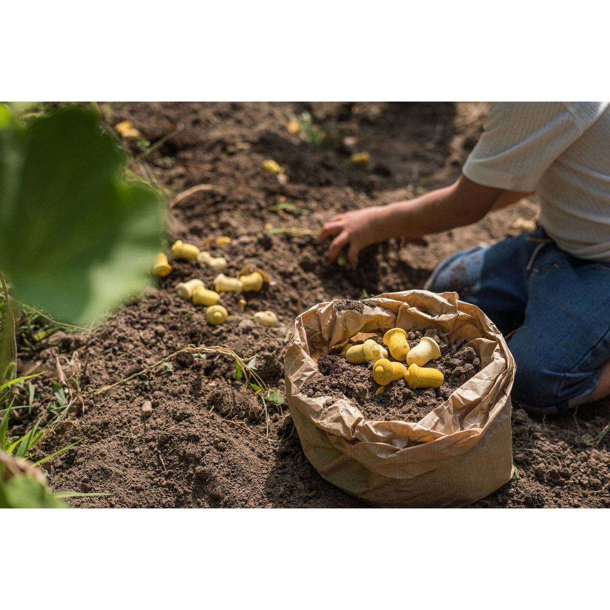 Grapat Loose Parts Mini Tulips - 36 pieces in Yellows-Grapat-Modern Rascals