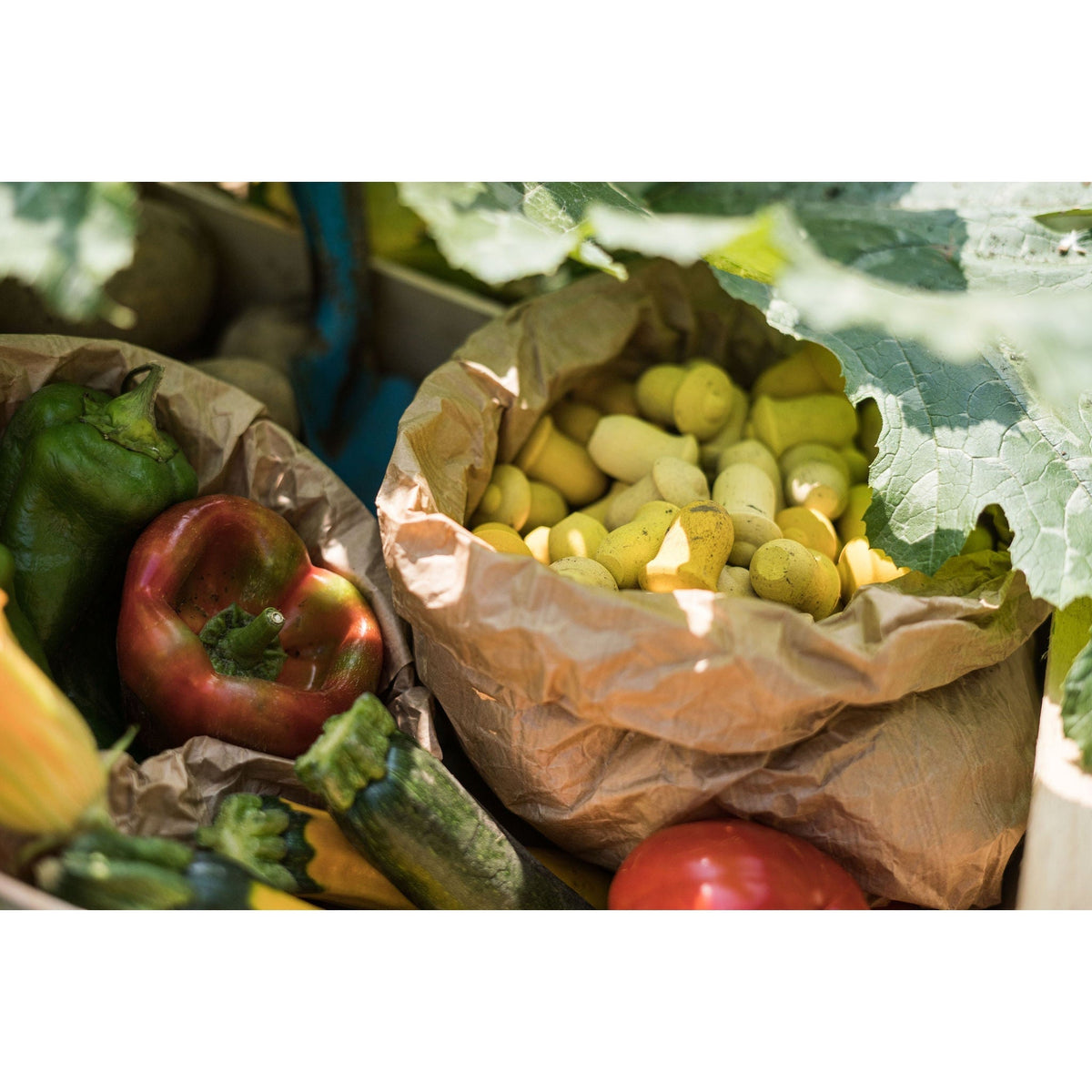 Grapat Loose Parts Mini Tulips - 36 pieces in Yellows-Grapat-Modern Rascals