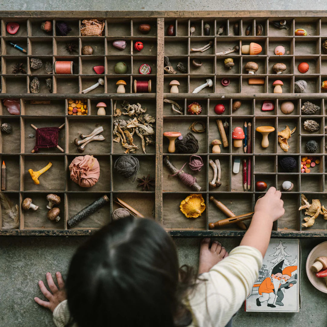 Grapat Wood Mushroom Grove-Grapat-Modern Rascals