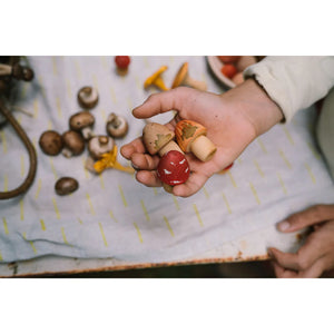 Grapat Wood Mushroom Grove-Grapat-Modern Rascals