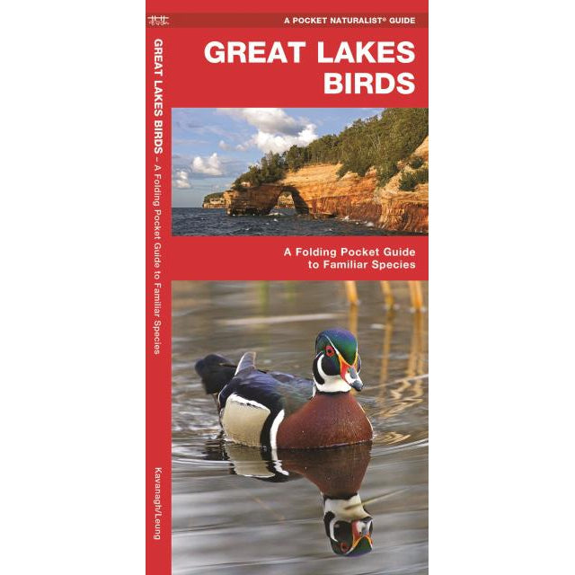 Great Lakes Birds-National Book Network-Modern Rascals