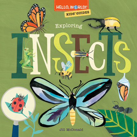 Hello, World! Exploring Insects-Penguin Random House-Modern Rascals
