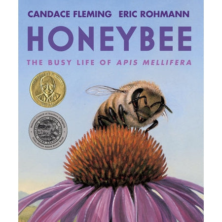 Honeybee - the Busy Life of Apis Mellifera-Penguin Random House-Modern Rascals