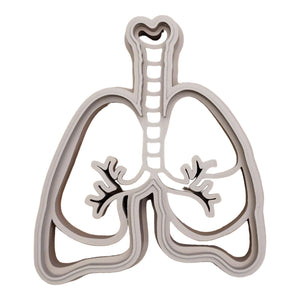 Human Body Parts || Anatomy EcoCutter Collection-CJ Eco-Play-Modern Rascals
