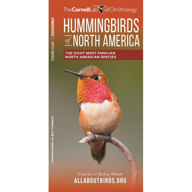 Hummingbirds of North America-National Book Network-Modern Rascals